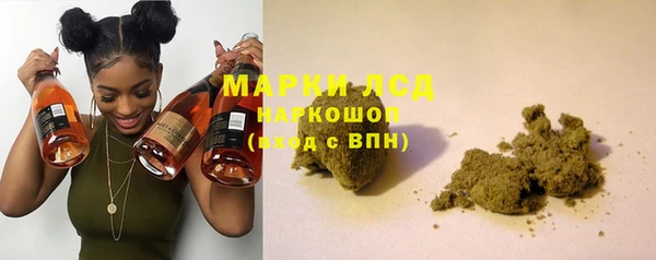 стафф Арсеньев