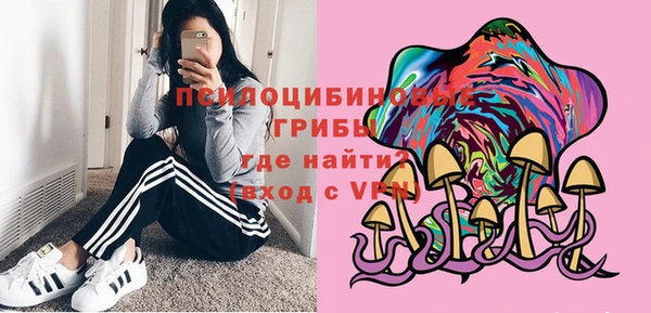 стафф Арсеньев