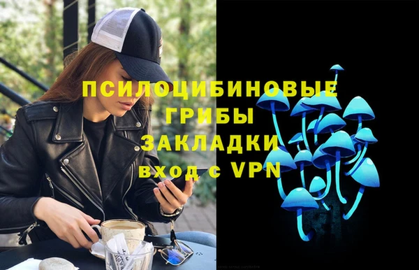 стафф Арсеньев