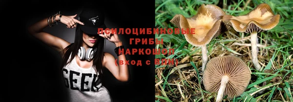 стафф Арсеньев